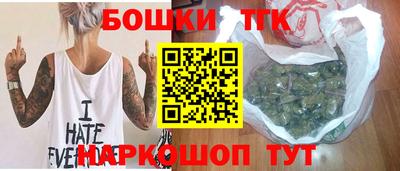индика Тверь